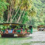 Day Swing to Bohol - Authenticity and Experience