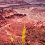 Day Tour Arches and Canyonlands National Park in Utah - Why This Tour Offers Great Value