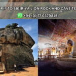 Day Tour from Kandy:Explore Sigiriya Lion Rock & Cave Temple - Analyzing the Value