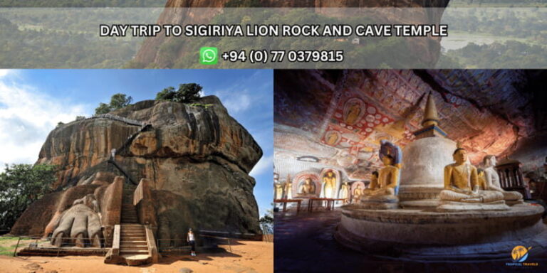 Day Tour from Kandy:Explore Sigiriya Lion Rock & Cave Temple - Analyzing the Value
