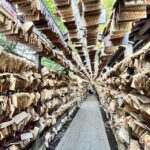 Day Tour from Tokyo : Experience Kawagoe and Edo Japan - Who This Tour Is Best For