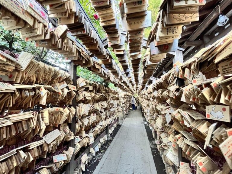 Day Tour from Tokyo : Experience Kawagoe and Edo Japan - Who This Tour Is Best For