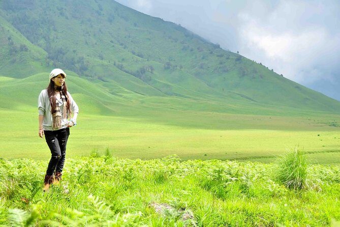 Day Tour - Golden Sunrise Mount Bromo via Malang (Sharing Tour) - Starting the Journey: From Malang to the Volcano