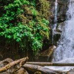 Day Tour in Doi Inthanon National Park & 2 Hour-Hiking with Lunch - In-Depth Look at the Doi Inthanon Tour Experience