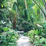 Day tour kandy to sigiriya and return kandy - Practical Aspects and Traveler Tips