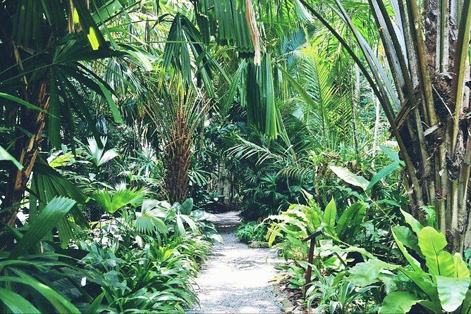 Day tour kandy to sigiriya and return kandy - Practical Aspects and Traveler Tips