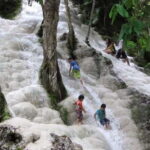 Day Tour Small Group Elephant Sanctuary and Fun Sticky Waterfall - Exploring the Experience in Depth