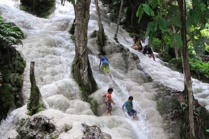 Day Tour Small Group Elephant Sanctuary and Fun Sticky Waterfall - Exploring the Experience in Depth