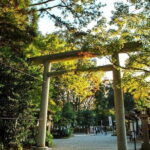 Day Tour to Miyazaki Takachiho Gorge & Shrine depart from Fukuoka - The Sum Up