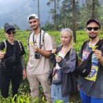 Day tour to Nuwareeliya (Little England) from Kandy - What to Expect: A Typical Day