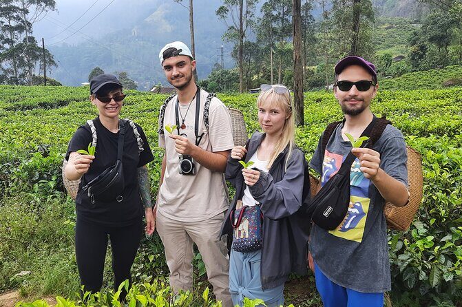 Day tour to Nuwareeliya (Little England) from Kandy - What to Expect: A Typical Day