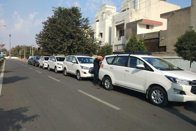 Day Trip Amritsar with Wagah Border Ceremony - Who Should Consider This Tour?