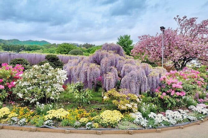 Day Trip Ashikaga Flower Park by Private Car from Tokyo - Frequently Asked Questions