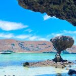 Day trip excursion to La Paz BCS & Balandra beach - Practical Details and What to Expect