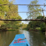 Day Trip: Floating Market & Mua Xuan Forest Half-Day Tour - The Sum Up: Who Is This Tour Best For?