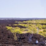 Day Trip from Oahu to Hilo: Volcano Adventure - Who Would Love This Tour?