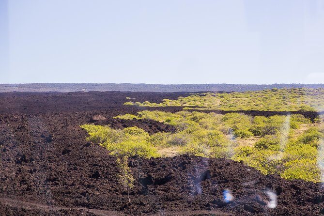 Day Trip from Oahu to Hilo: Volcano Adventure - Who Would Love This Tour?