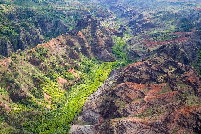 Day Trip from Oahu to Kauai: Waimea Canyon & Wailua River - Who is This Tour Best For?