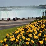 Day-Trip from Toronto to Niagara Falls with skip-the-line boat - Authentic Experiences and Practical Insights
