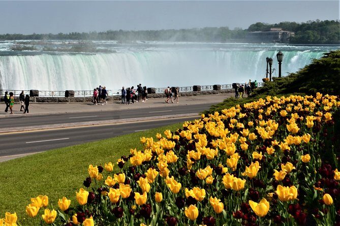 Day-Trip from Toronto to Niagara Falls with skip-the-line boat - Authentic Experiences and Practical Insights