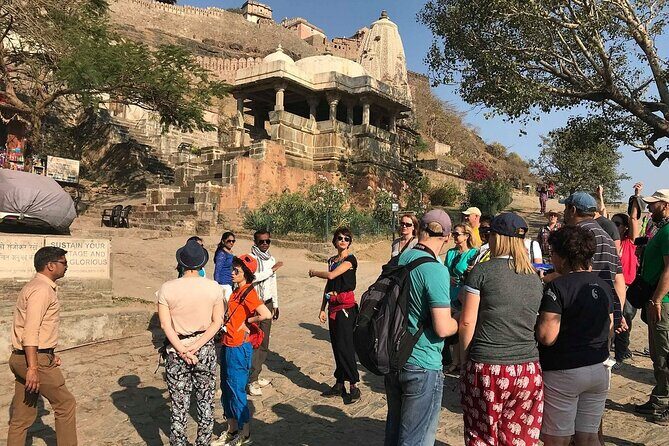 Day Trip from Udaipur to Kumbhalgarh Fort and Ranakpur - Final Thoughts: Who Should Consider This Tour?
