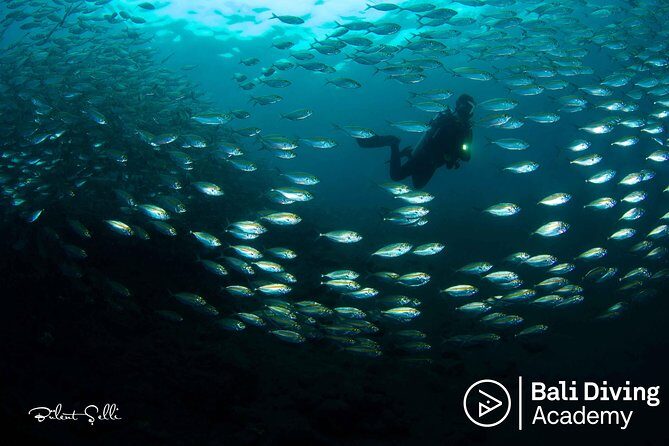 Day Trip Snorkeling in Tulamben - Explore Liberty Wreck (pick up in South Bali) - The Itinerary: What to Expect