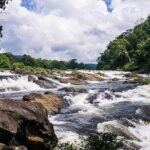 Day Trip to Athirappilly Water Falls by Kochi Taxi - Authentic Experiences and What You Can Expect