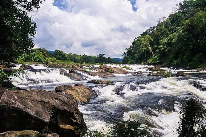 Day Trip to Athirappilly Water Falls by Kochi Taxi - Authentic Experiences and What You Can Expect