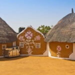 Day trip to Bishnoi village from Jodhpur - What You Need to Know Before Booking