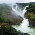 Day Trip to Mollem National Park Including Dudhsagar Falls and Jeep Safari from Goa - Final Thoughts