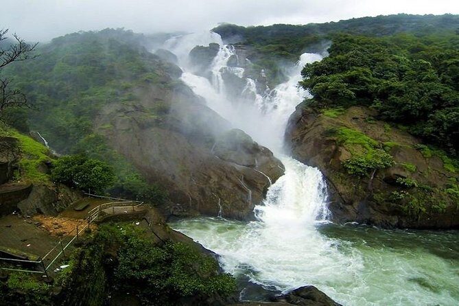 Day Trip to Mollem National Park Including Dudhsagar Falls and Jeep Safari from Goa - Final Thoughts