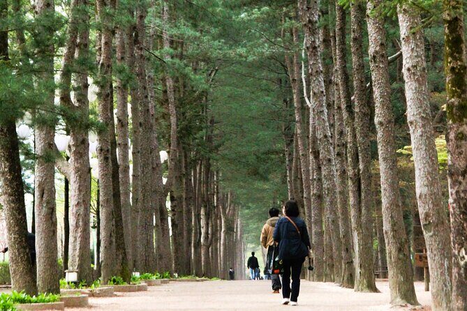 Day Trip to Nami Island with Rail bike and The Garden of Morning Calm - Final Thoughts