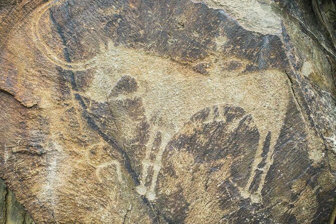 Day Trip to Tanbaly Petroglyphs - Frequently Asked Questions