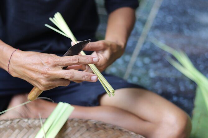 Day with a Balinese Family in a Village - An In-Depth Look at the Experience