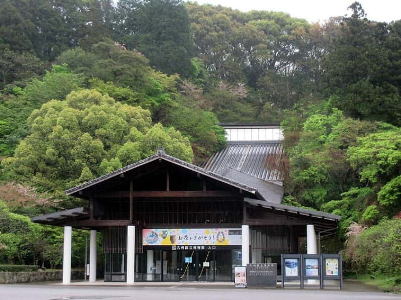 Dazaifu: Shrine, Museum, and Zen Garden Tour with Tea - Practical Information and Tips