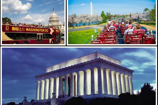 DC: Hop-on Hop-off Bus, Arlington Walking Tour, and Night Tour - What Travelers Say