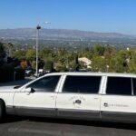 Death Becomes Her Funeral Limo Tour of Los Angeles - Exploring the Dark Side of Los Angeles: What to Expect