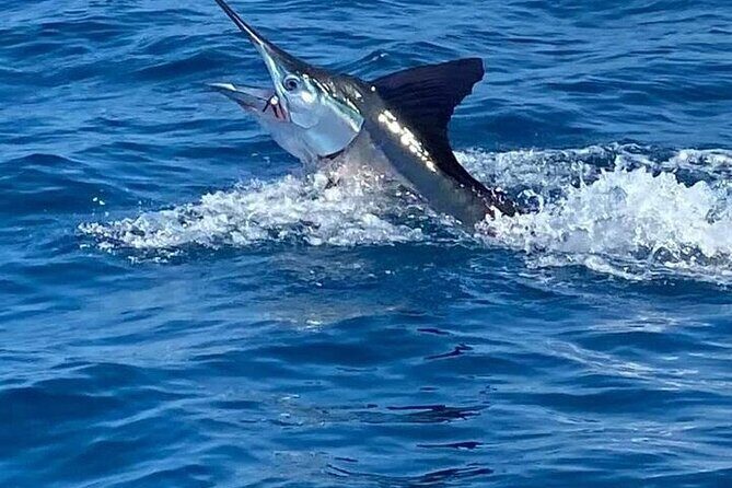 Deep Sea Fishing Tour in Huatulco Bays - Final Thoughts: Is This the Fish Story You Want to Tell?