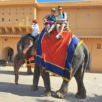 Delhi: 6-Days Golden Triangle Delhi, Agra, and Jaipur Tour - Key Points