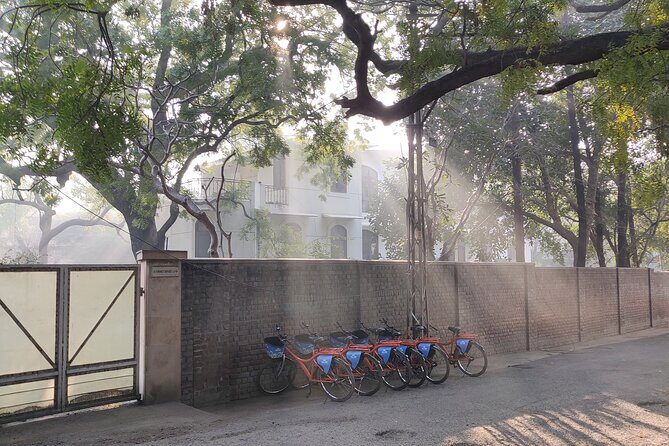 Delhi By Cycle & Old Delhi - The Bottom Line: Why Choose This Tour?