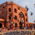 Delhi City Tour: Old, New, or Both  Half & Full Day Options - The Experience Itself: What to Expect