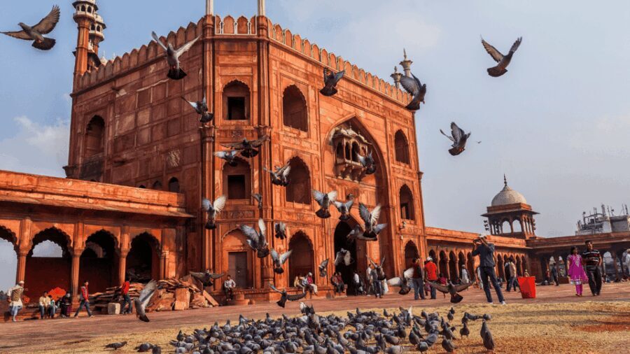 Delhi City Tour: Old, New, or Both  Half & Full Day Options - The Experience Itself: What to Expect