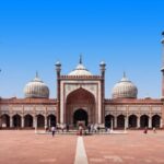 Delhi day tour with tour guide - Practical Details and Value