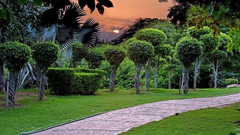Delhi: Garden of Five Senses Guided Tour with Pickup - The Sum Up