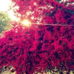 Delhi: Heritage Photography Tour - The Experience from a Photographer’s Perspective