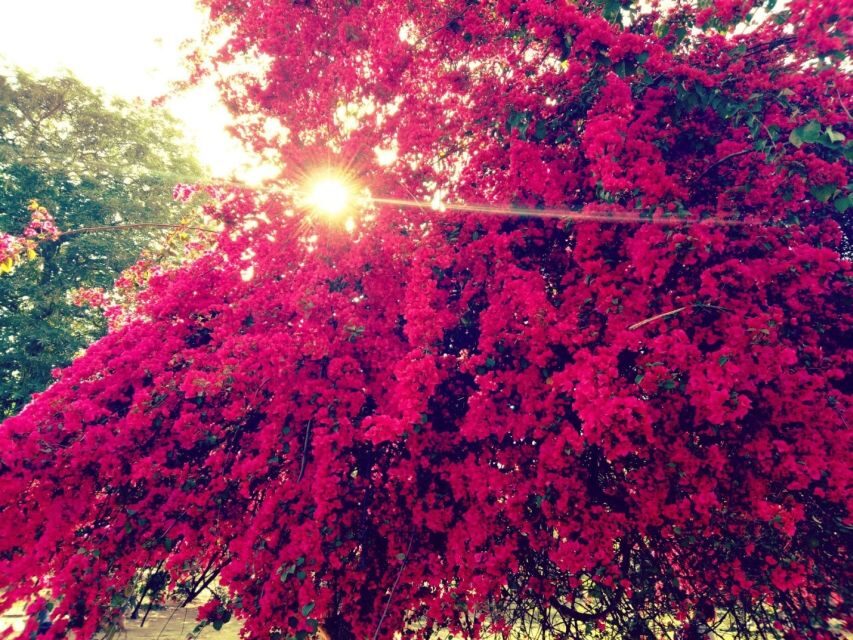 Delhi: Heritage Photography Tour - The Experience from a Photographer’s Perspective