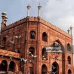 Delhi: Old Delhi Tuk-Tuk Tour with Snacks and Drinks - An In-Depth Look at the Old Delhi Tuk-Tuk Tour