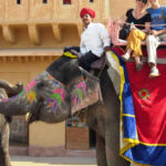 Delhi: Private Same day jaipur tour with Pickup & Drop. - An In-Depth Review of the Jaipur Private Day Trip from Delhi