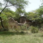 Delhi's Rustic Sites tour & Skip the tourist traps - Why This Tour Offers Real Value