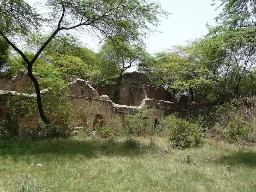 Delhi's Rustic Sites tour & Skip the tourist traps - Why This Tour Offers Real Value